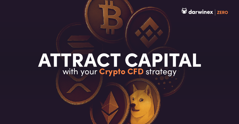 DZ-crypto-launch-post2-lsc-EN-1