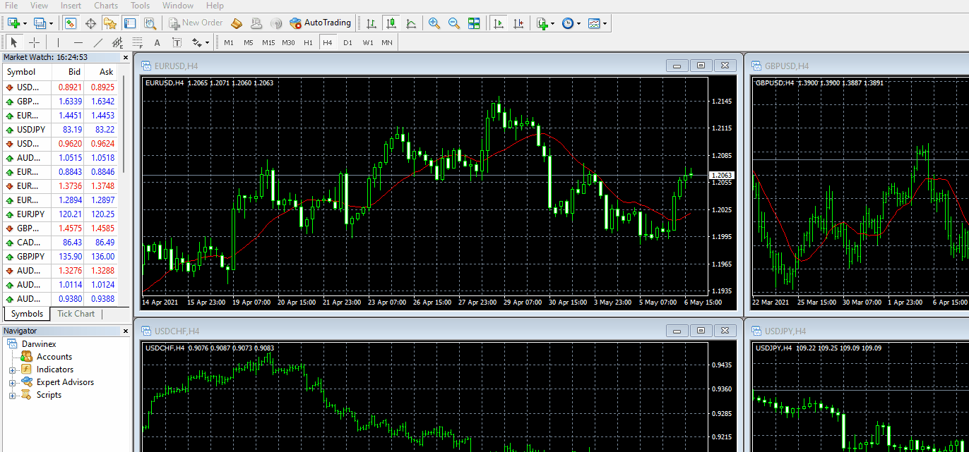 GIF Darwinex-Live-2 EN-1